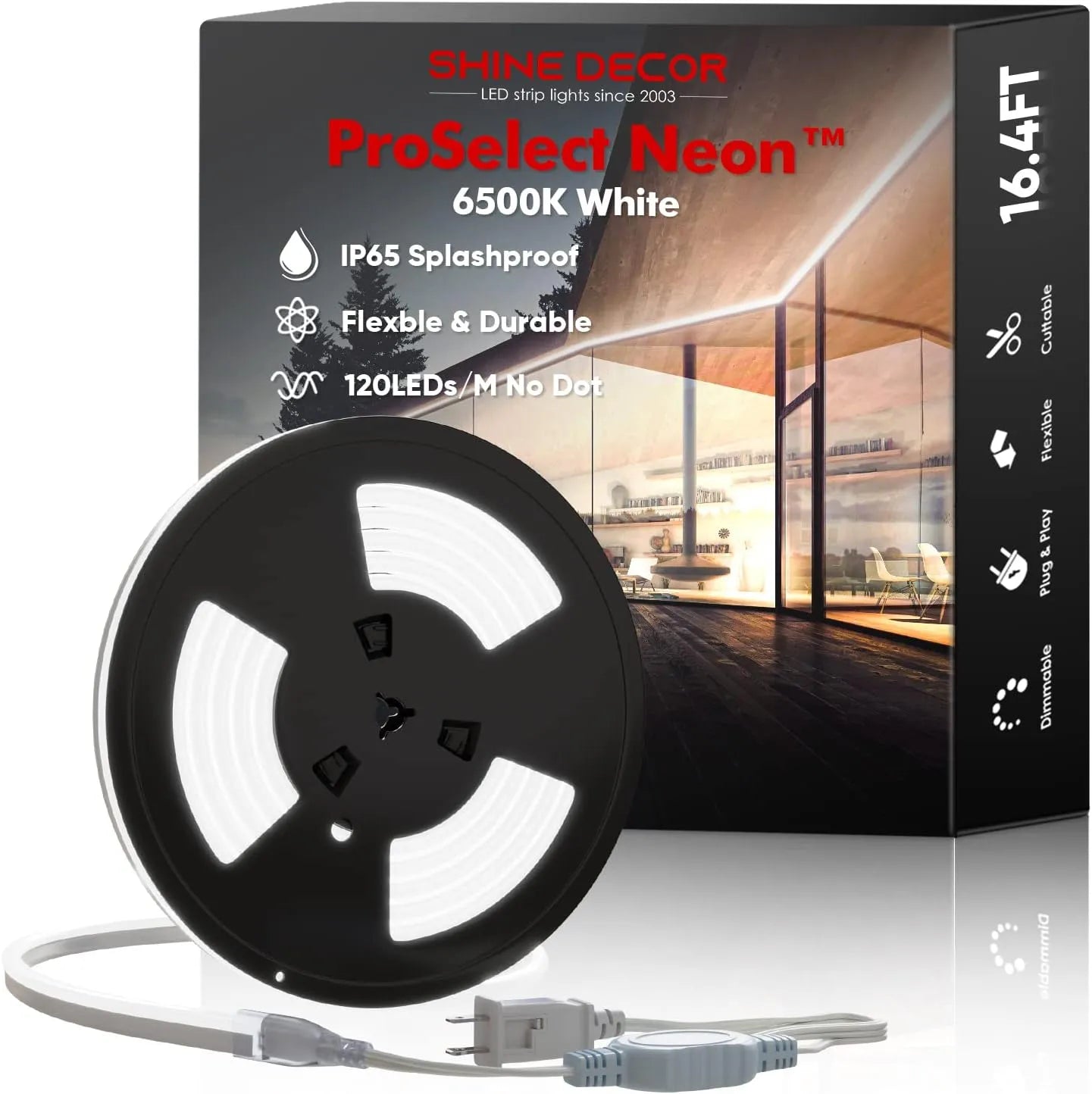 110V Neon Rope Light 6500K Cool White Proselect Neon High-Priced 220Lumens/M