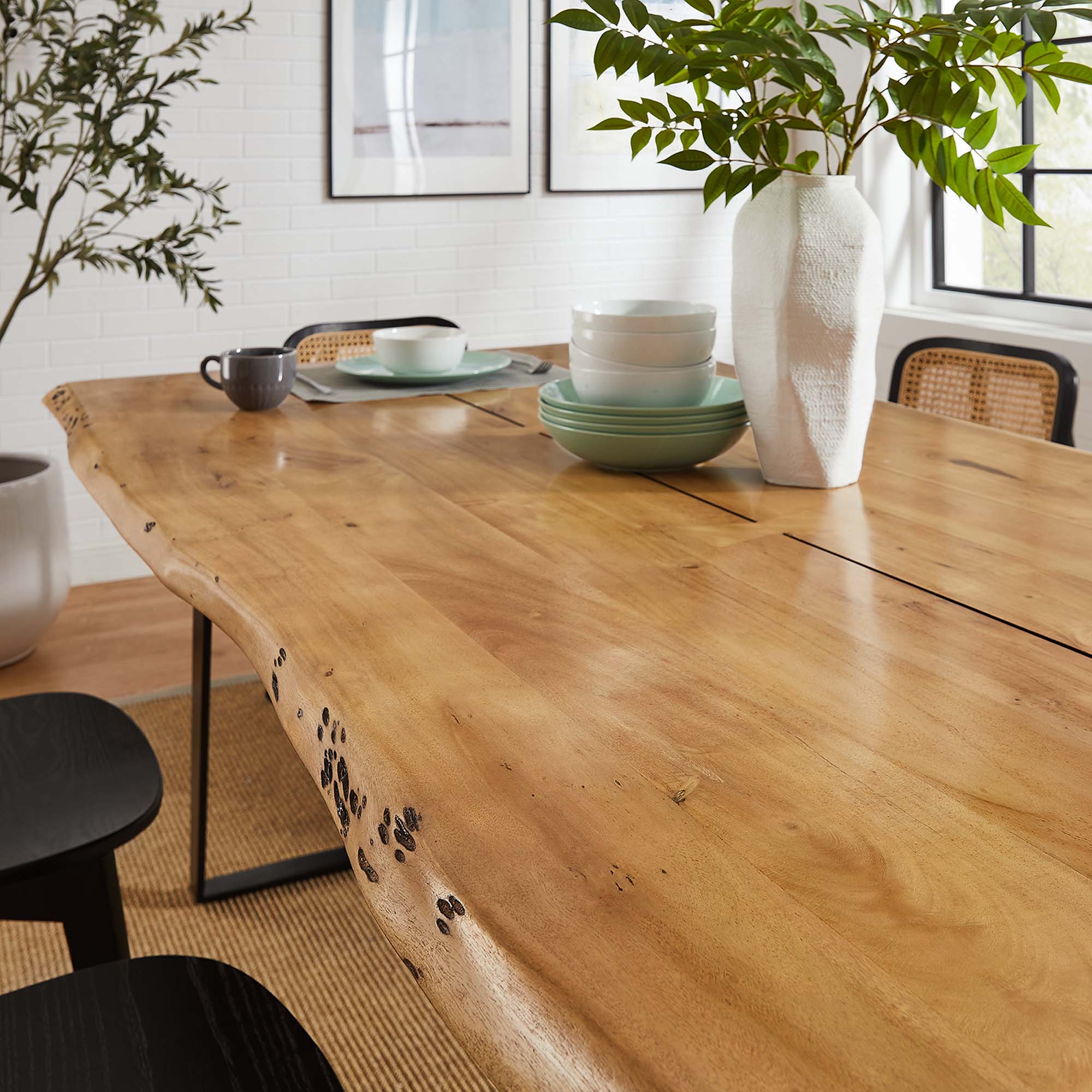 Viggo 74" Live Edge Acacia Wood Dining Table by Modway