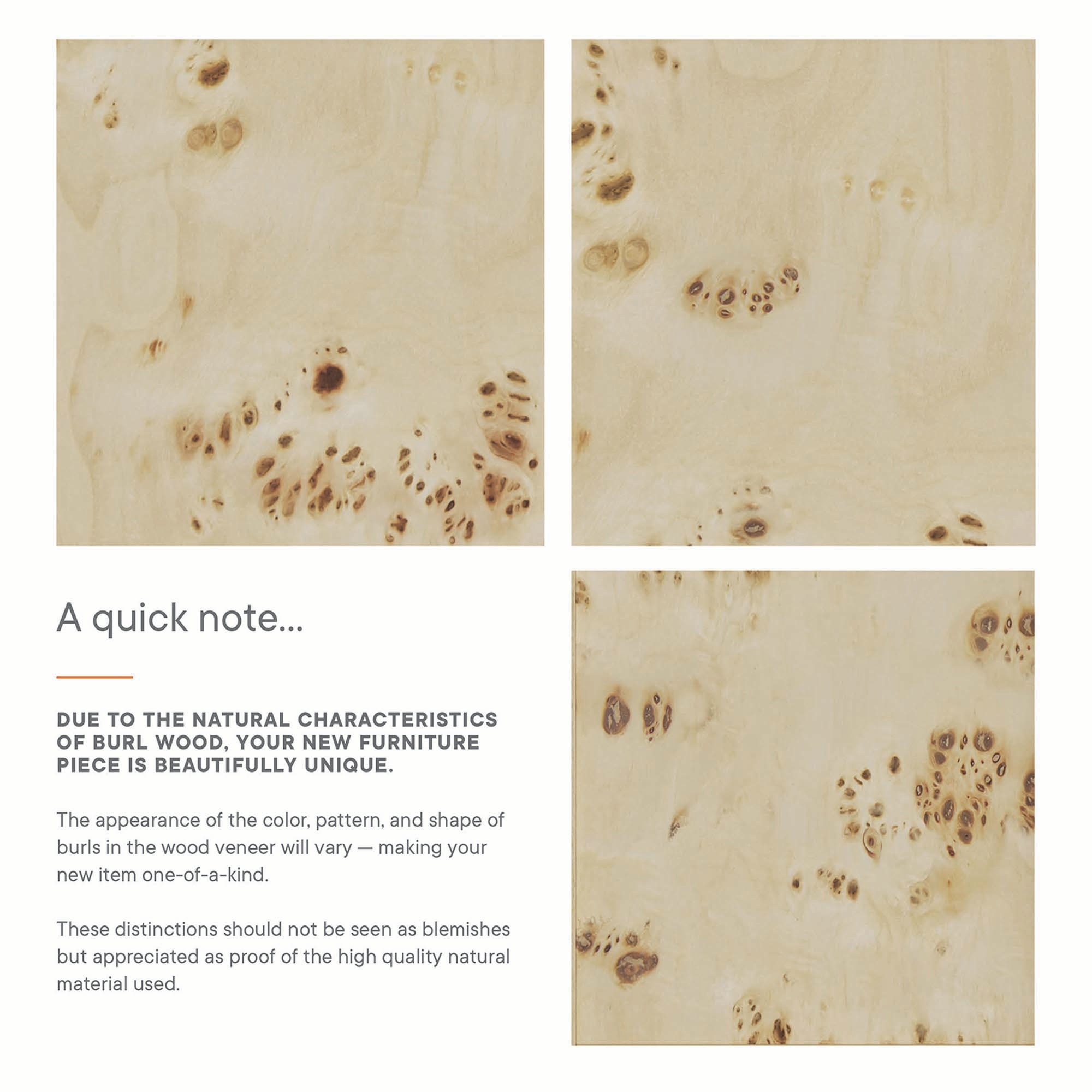 Elysian Bathroom Cabinet Basin Not Included by Modway