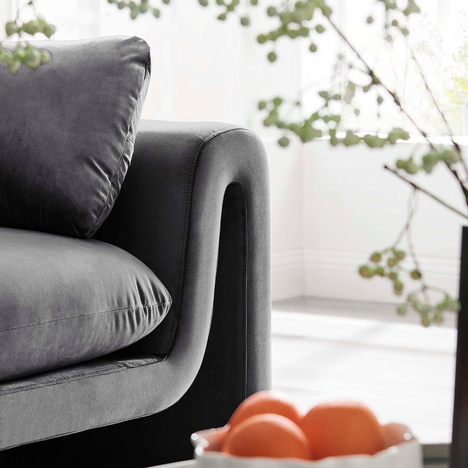 Waverly Performance Velvet Sofa by Modway