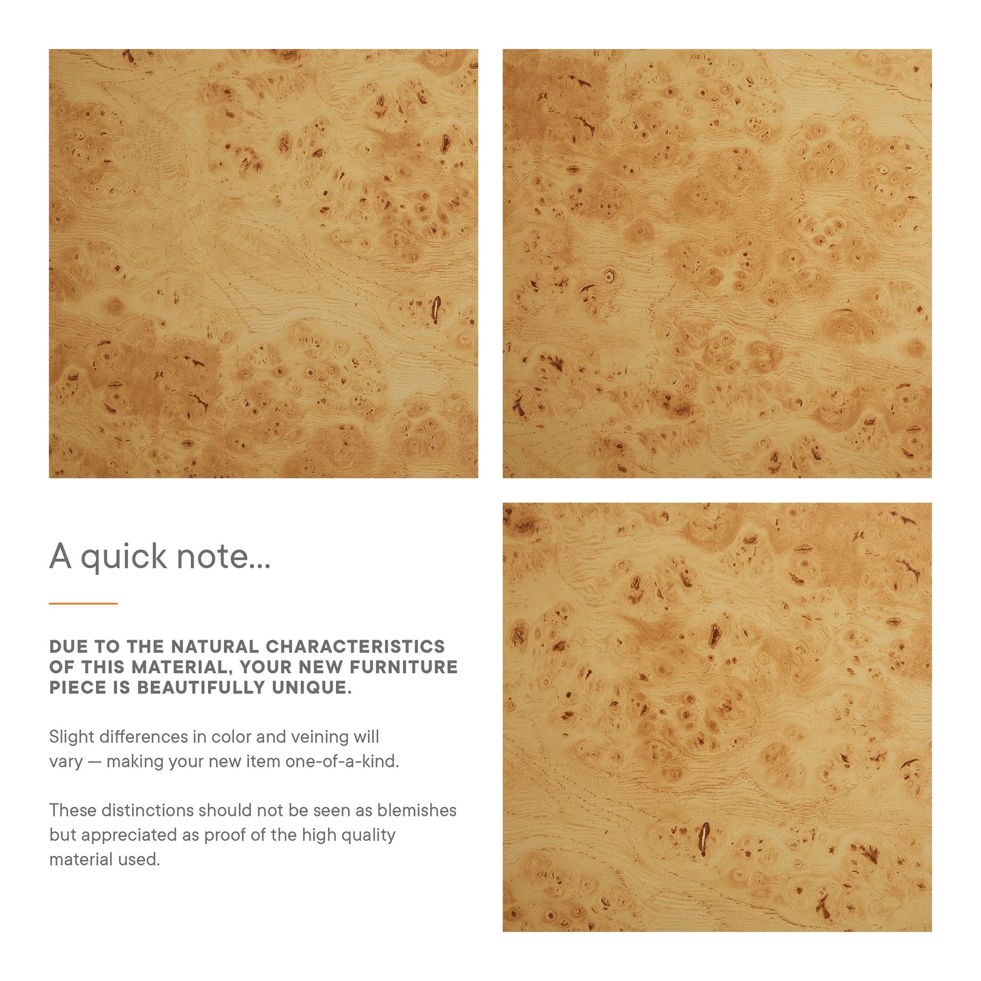 Hudson 2-Drawer Burl Wood Desk