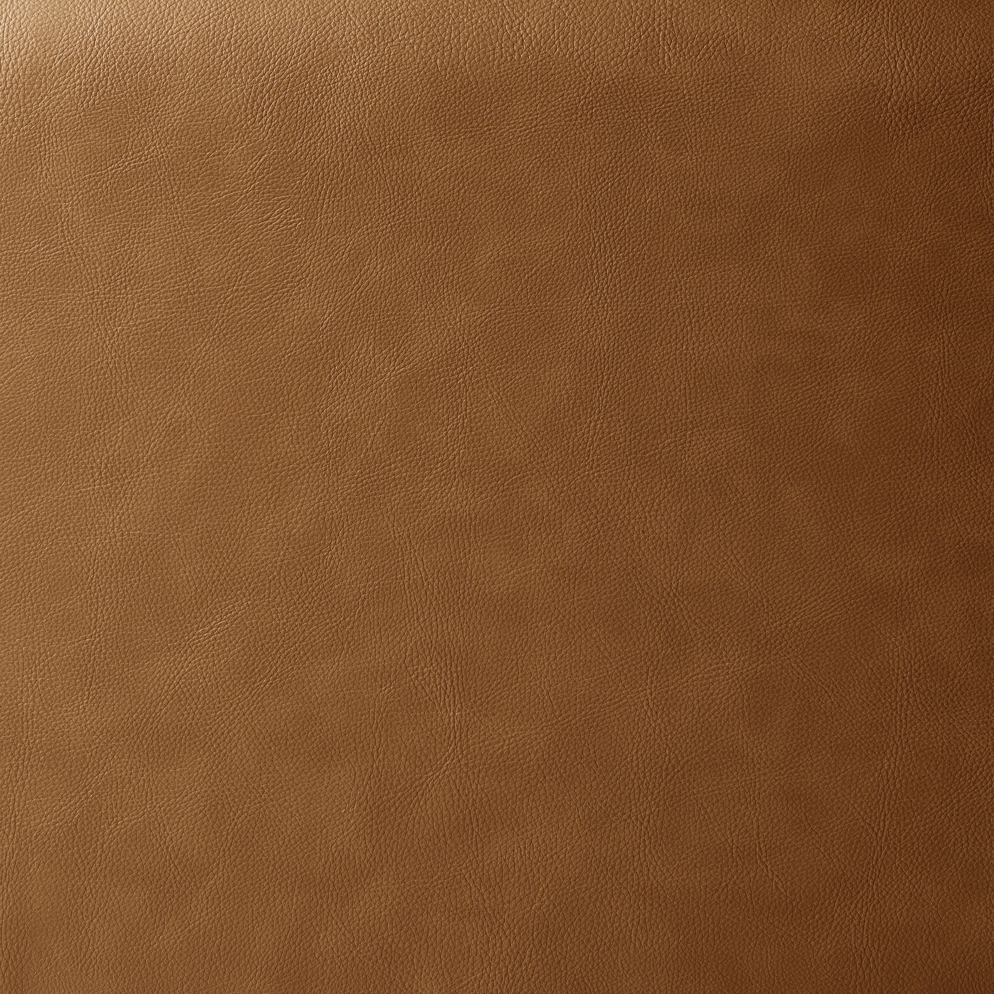 Revive Upholstered Vegan Leather Loveseat by Modway