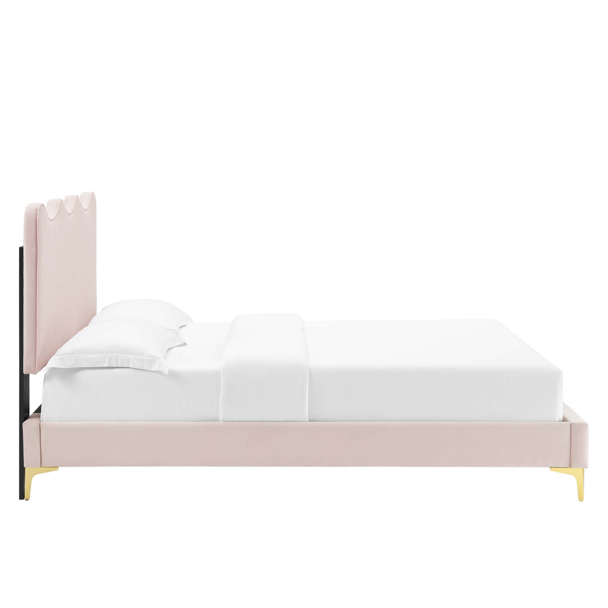 Current Performance Velvet Platform Bed With Gold Metal Legs by Modway