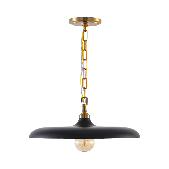 51" Pendant with 1xE26