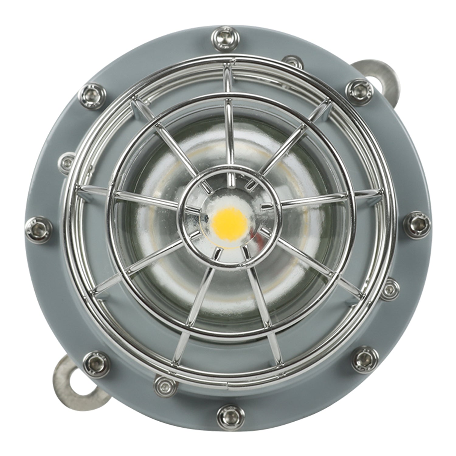 G Series 30W Dimmable LED Explosion Proof Jelly Jar Light: High-Quality Lighting Solution for Hazardous Locations with 4050LM and IP66 Protection, Ideal for Industrial Environments