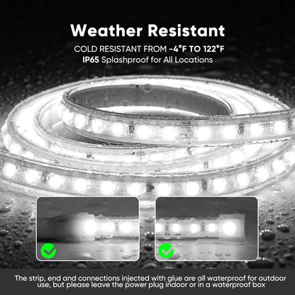 110V COB Led Strip Light Adhesive LED Tape Light 6000K Cool White