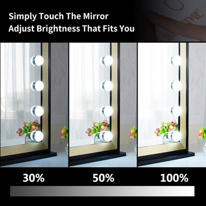 Lighted Vanity Mirror with Two-color Aluminum Frame,Dressing Tabletop Vanity Mirror with 14pcs Led Lights Large Beauty Mirror
