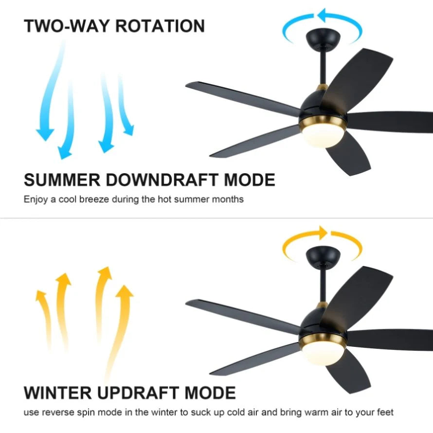 Elegant 46-Inch Black Ceiling Fan with Reversible DC Motor and Dimmable LED Lights