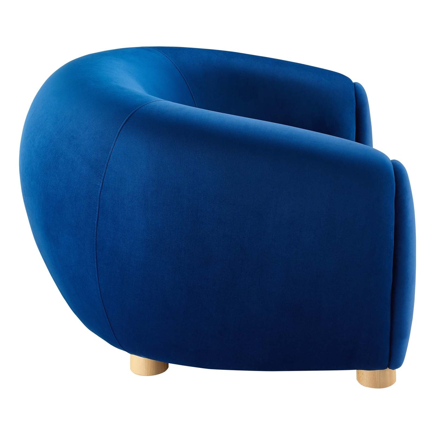 Abundant Performance Velvet Armchair By HouseBean