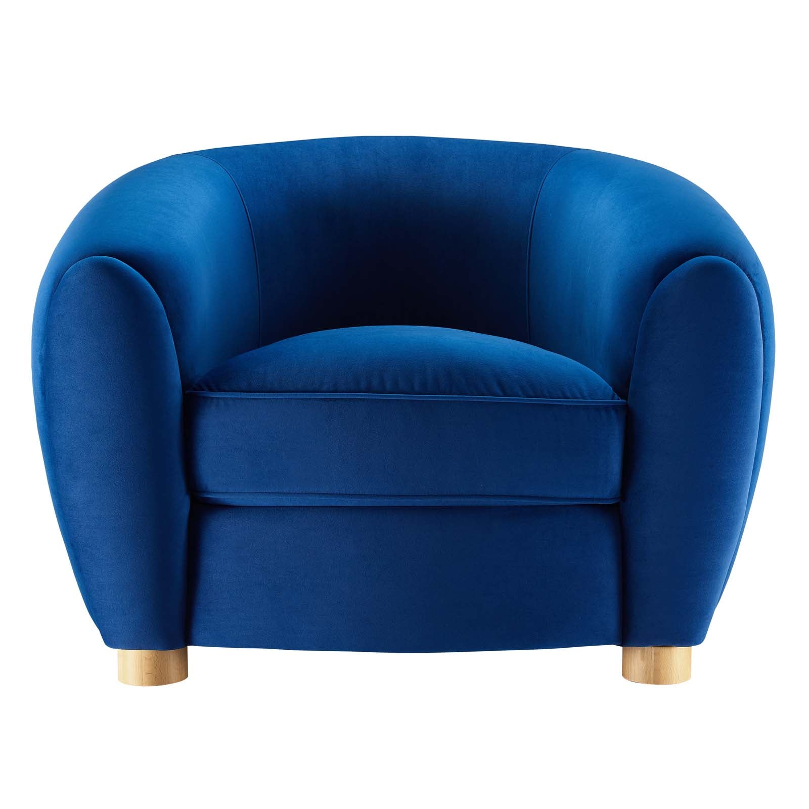 Abundant Performance Velvet Armchair By HouseBean