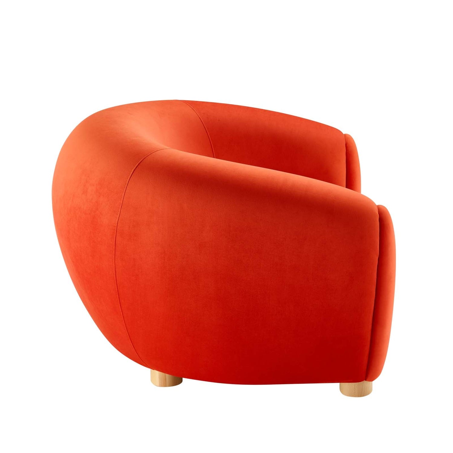 Abundant Performance Velvet Armchair By HouseBean