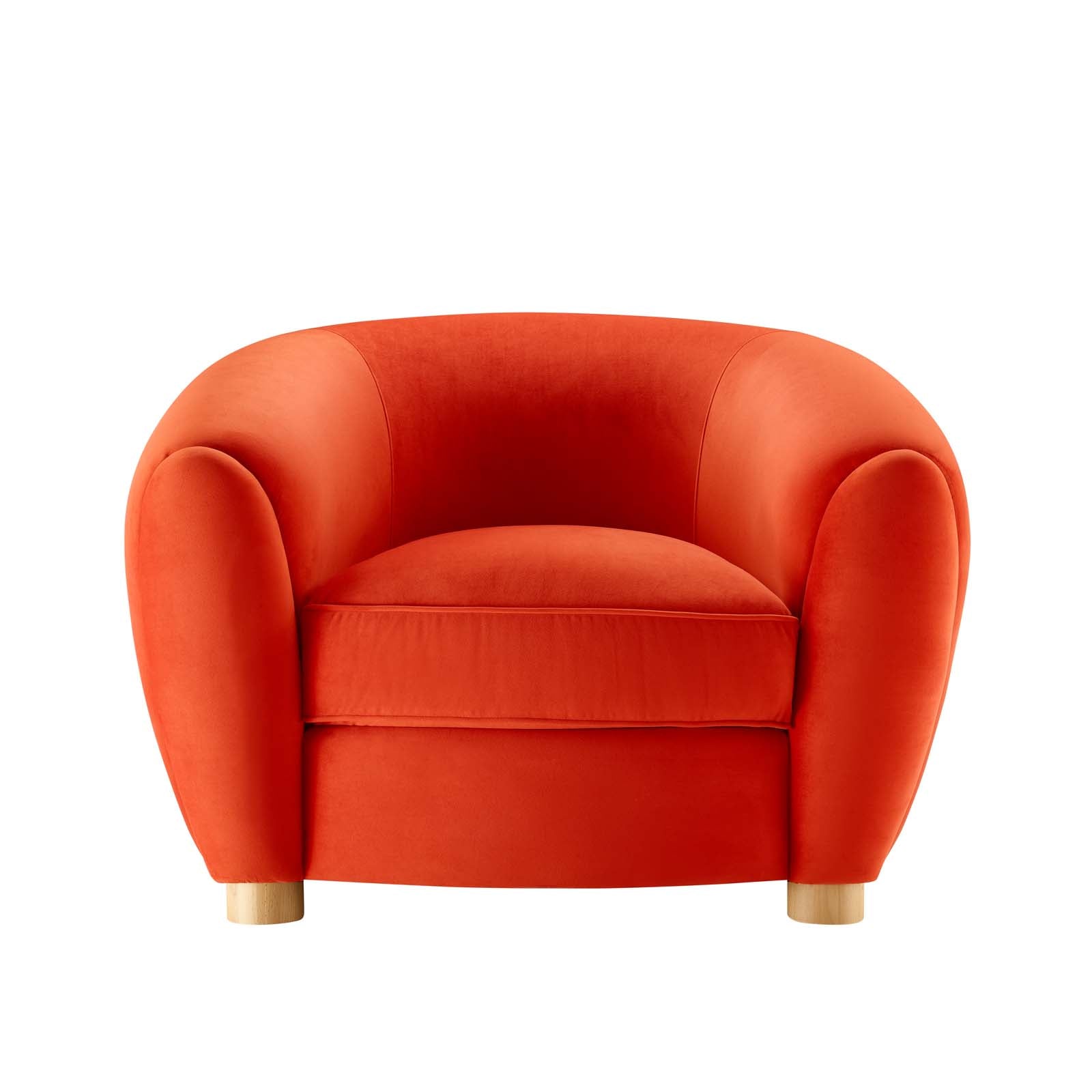 Abundant Performance Velvet Armchair By HouseBean