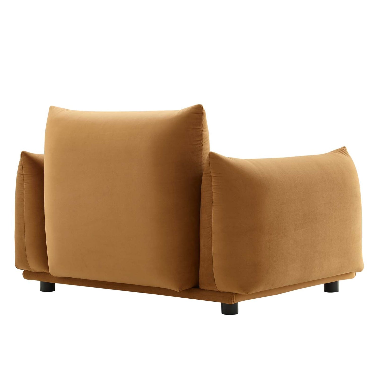 Copious Performance Velvet Armchair By HouseBean