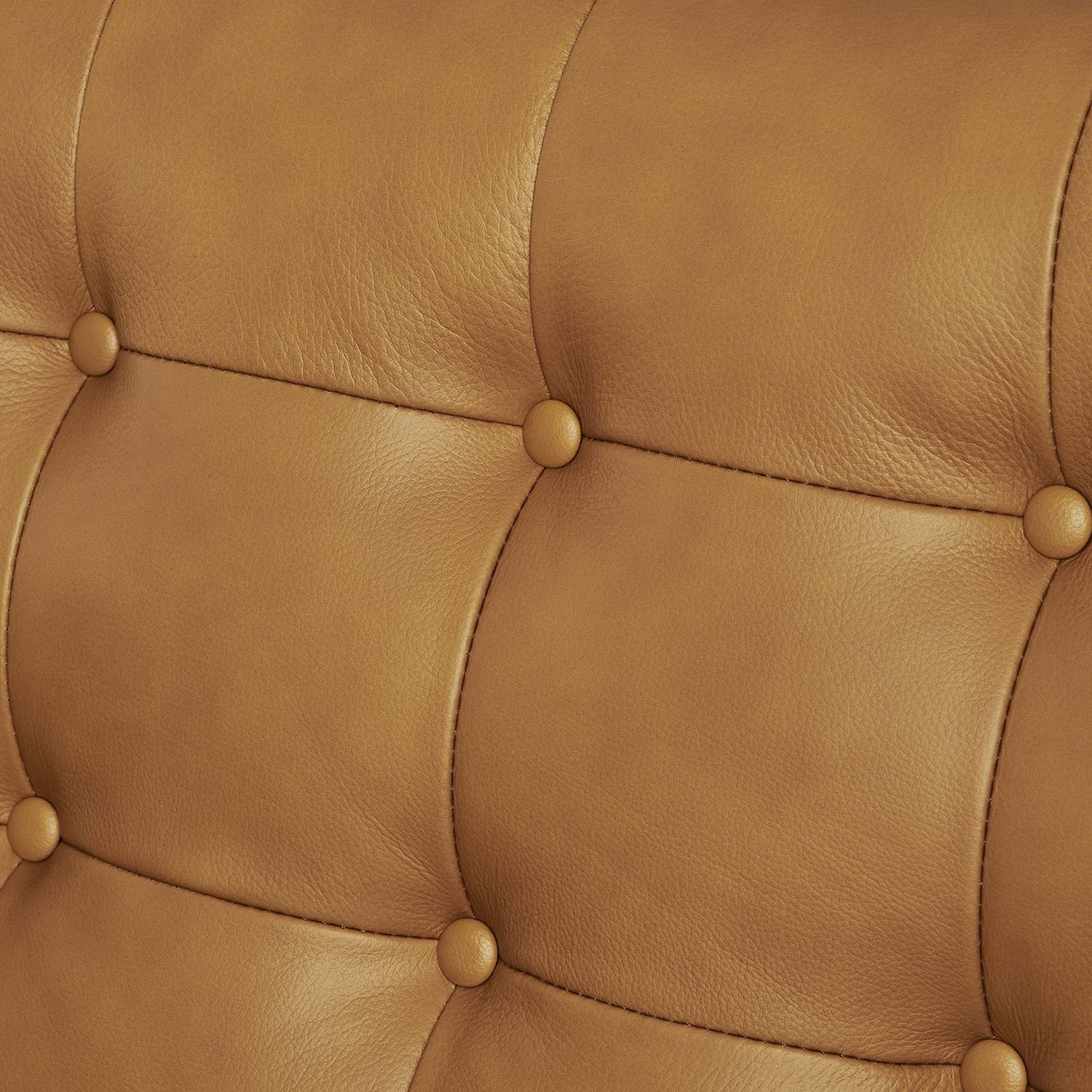 Exalt Tufted Leather Sofa by Modway