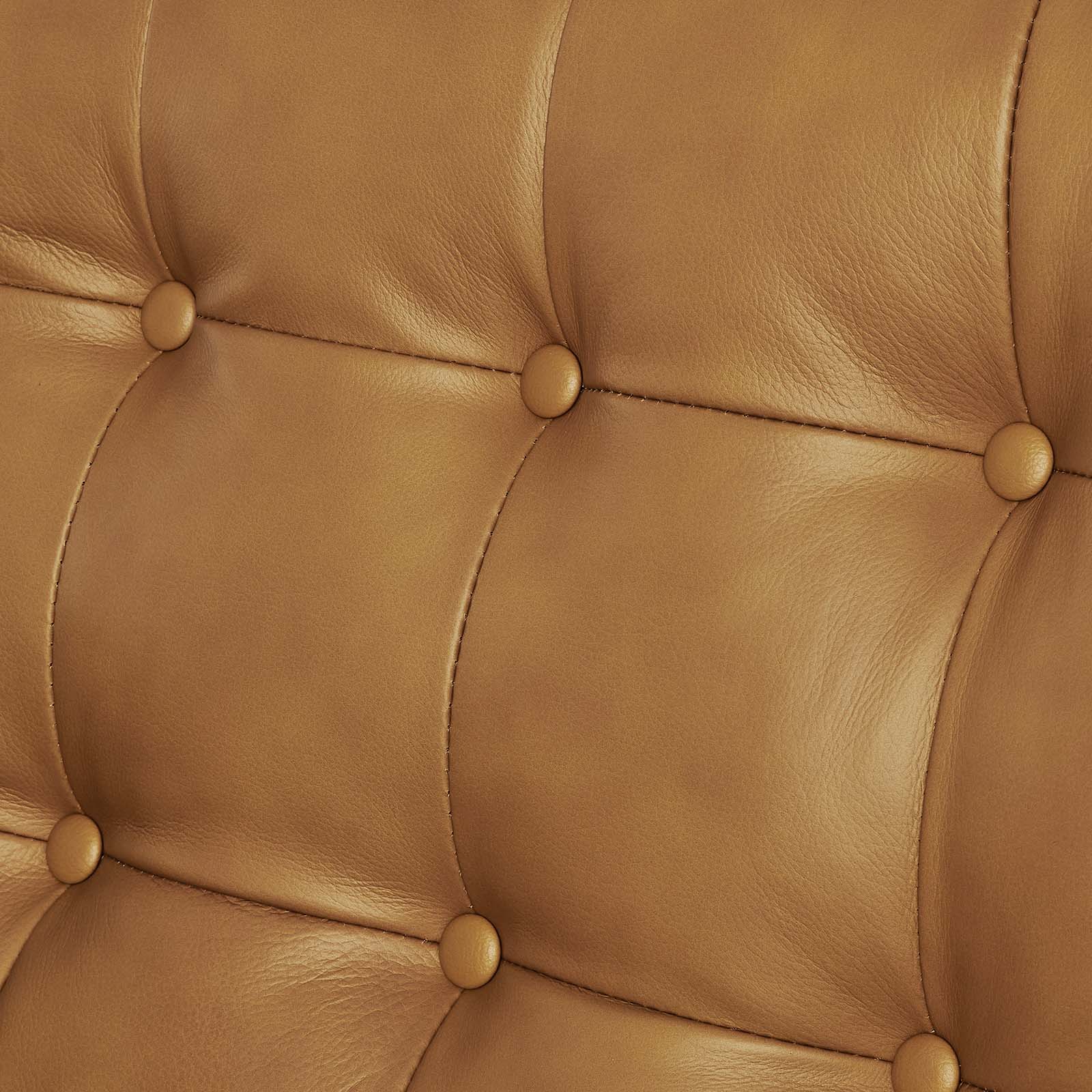 Exalt Tufted Leather Loveseat By HouseBean