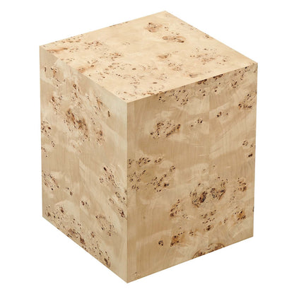 Cosmos 16&quot; Square Burl Wood Side Table By HouseBean