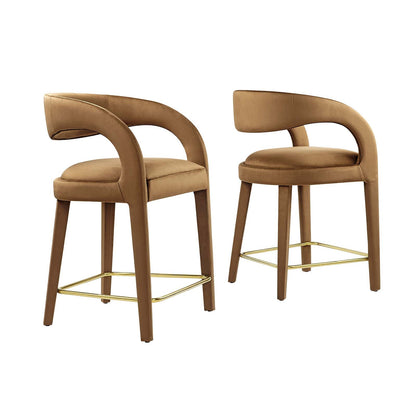 Pinnacle Performance Velvet Counter Stool Set of Two By HouseBean