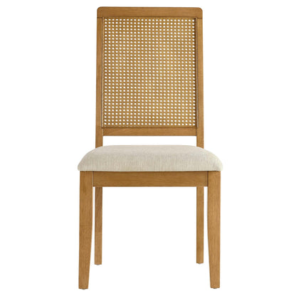 Arlo Faux Rattan and Wood Dining Side Chairs - Set of 2