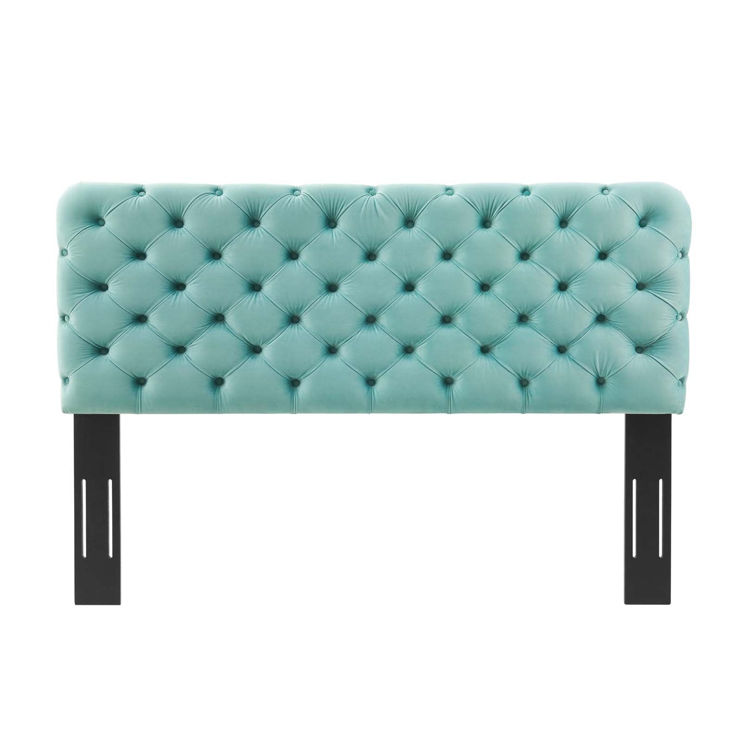 Lizzy Tufted Performance Velvet Headboard By HouseBean