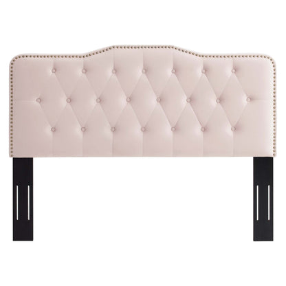 Sophia Tufted Performance Velvet Headboard by Modway