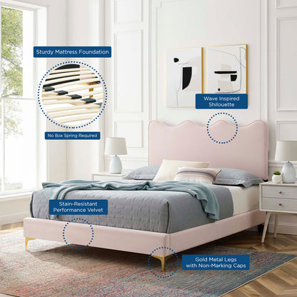 Current Performance Velvet Platform Bed With Gold Metal Legs by Modway