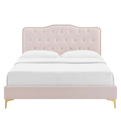 Amber Performance Velvet Platform Bed With Gold Legs by Modway