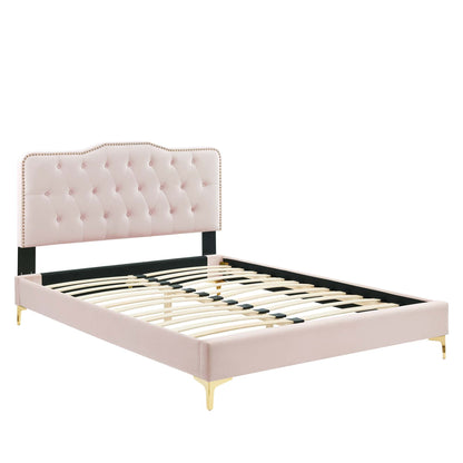 Amber Performance Velvet Platform Bed With Gold Legs by Modway