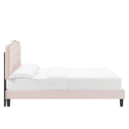 Amber Performance Velvet Platform Bed With Black Wood Legs by Modway
