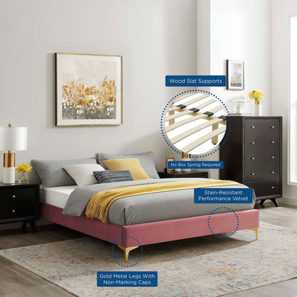 Aviana Performance Velvet Bed With Gold Legs by Modway