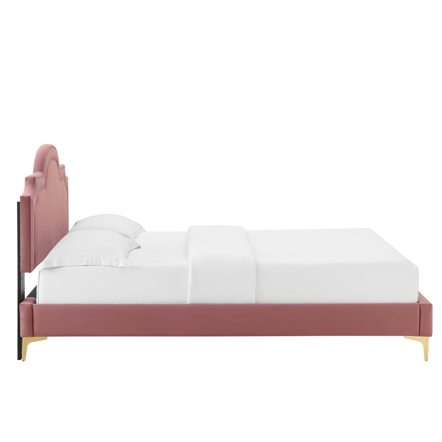 Aviana Performance Velvet Bed With Gold Legs by Modway