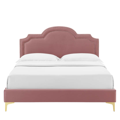 Aviana Performance Velvet Bed With Gold Legs by Modway