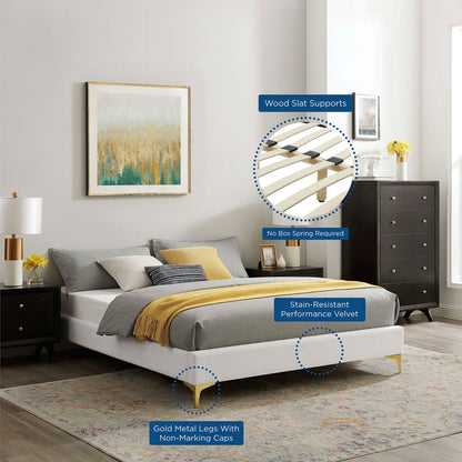 Aviana Performance Velvet Bed With Gold Legs by Modway