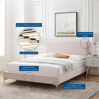 Phillipa Performance Velvet Platform Bed With Gold Metal Legs by Modway