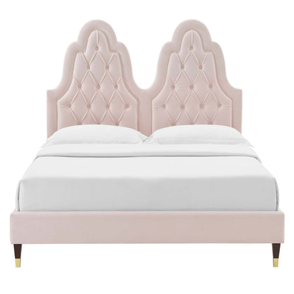 Alexandria Tufted Performance Velvet Platform Bed With Wood and Gold Legs by Modway