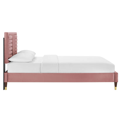 Sofia Channel Tufted Performance Velvet Platform Bed With Wood and Gold Legs by Modway