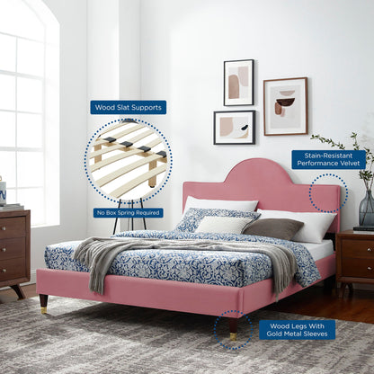 Aurora Performance Velvet Bed by Modway