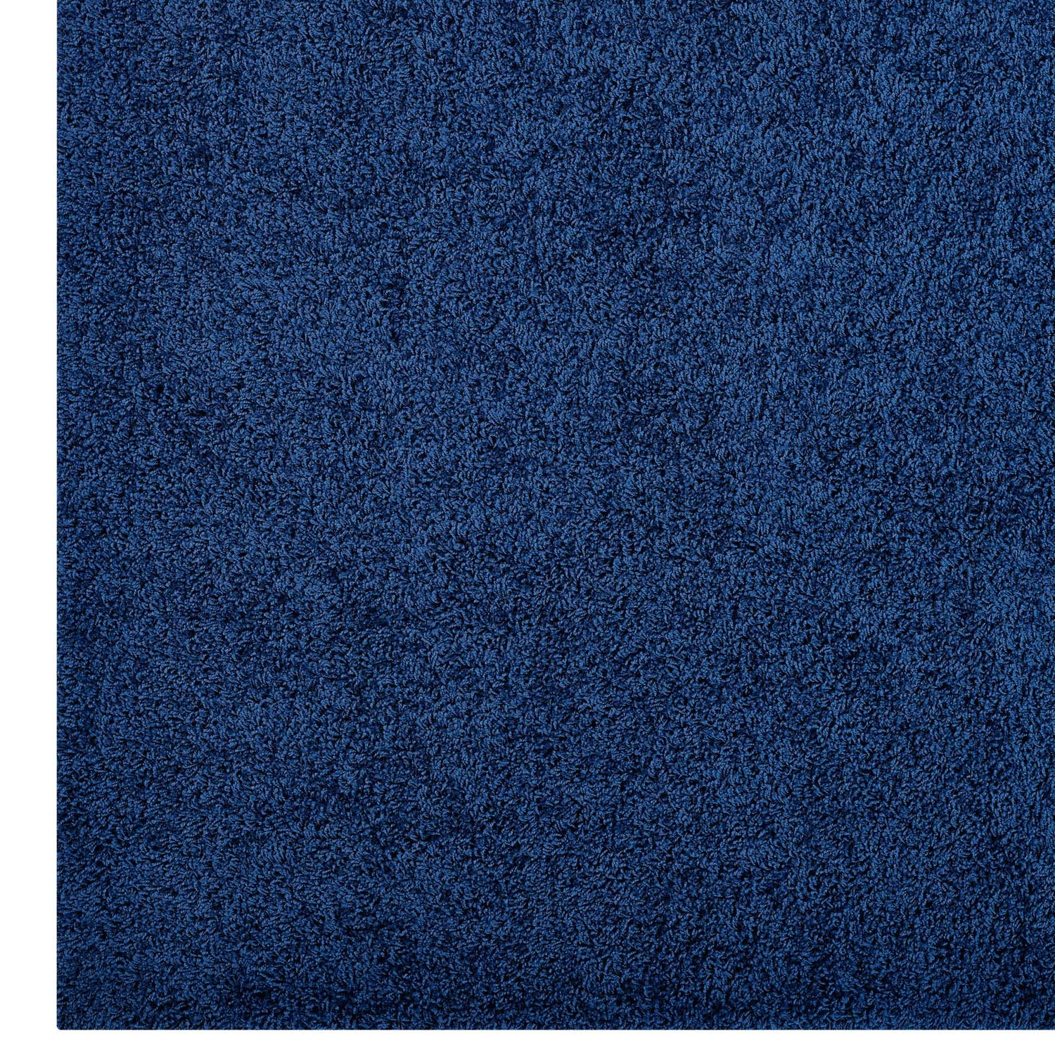 Enyssa Solid Shag Area Rug by Modway