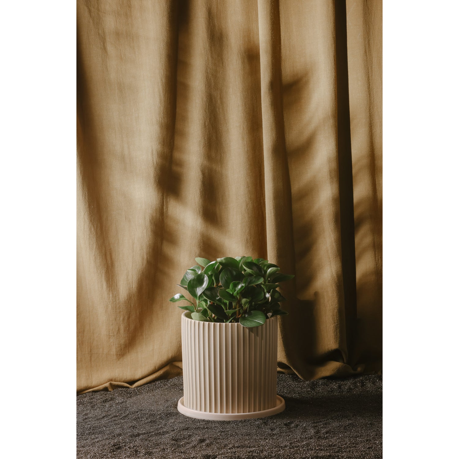 Kuhi Small Planter Planters, Beige