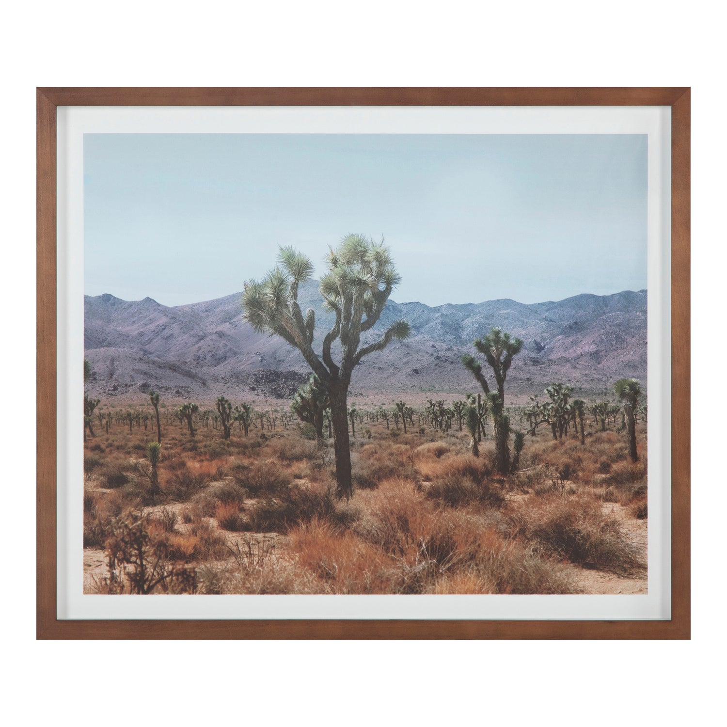 Peak Peak Framed Print Paintings, Multicolor / Pine Frame