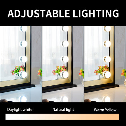 Lighted Vanity Mirror with Two-color Aluminum Frame,Dressing Tabletop Vanity Mirror with 14pcs Led Lights Large Beauty Mirror